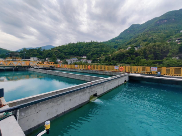 引江補漢:踐行“兩山”理念 繪就生態畫卷447.png